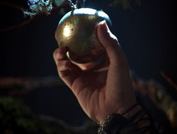 extant_HTLJ_3x12-Surprise_3869