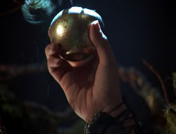 extant_HTLJ_3x12-Surprise_3870