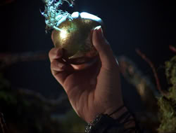 extant_HTLJ_3x12-Surprise_3871