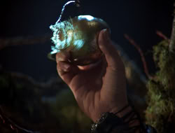 extant_HTLJ_3x12-Surprise_3872