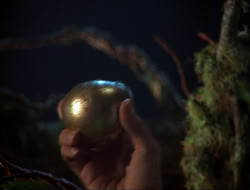 extant_HTLJ_3x12-Surprise_3873