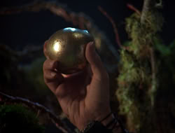 extant_HTLJ_3x12-Surprise_3874
