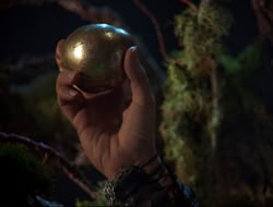 extant_HTLJ_3x12-Surprise_3875