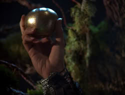 extant_HTLJ_3x12-Surprise_3876