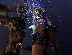 extant_HTLJ_3x12-Surprise_3902