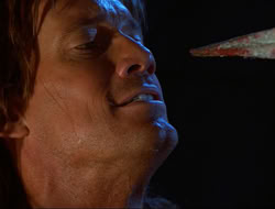 extant_HTLJ_3x12-Surprise_3930