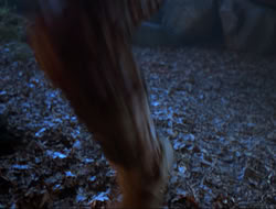 extant_HTLJ_3x12-Surprise_4008