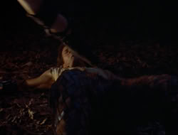 extant_HTLJ_3x12-Surprise_4021