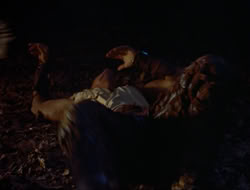 extant_HTLJ_3x12-Surprise_4022