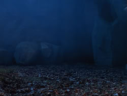 extant_HTLJ_3x12-Surprise_4027