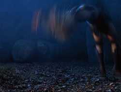 extant_HTLJ_3x12-Surprise_4028