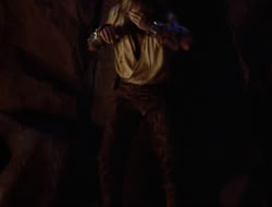 extant_HTLJ_3x12-Surprise_4065