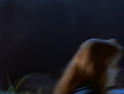 extant_HTLJ_3x12-Surprise_4070