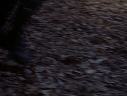 extant_HTLJ_3x12-Surprise_4071