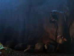 extant_HTLJ_3x12-Surprise_4075