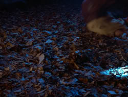 extant_HTLJ_3x12-Surprise_4091