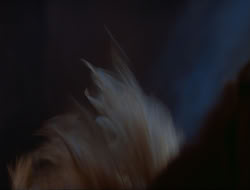 extant_HTLJ_3x12-Surprise_4121