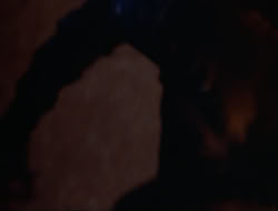 extant_HTLJ_3x12-Surprise_4146