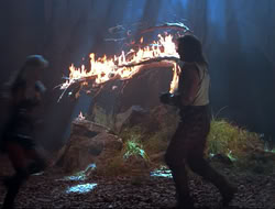 extant_HTLJ_3x12-Surprise_4168