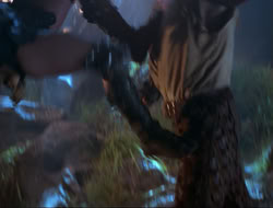 extant_HTLJ_3x12-Surprise_4170