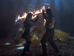extant_HTLJ_3x12-Surprise_4180