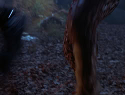 extant_HTLJ_3x12-Surprise_4182