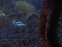 extant_HTLJ_3x12-Surprise_4183