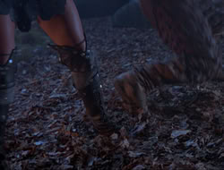 extant_HTLJ_3x12-Surprise_4189