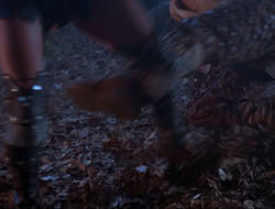 extant_HTLJ_3x12-Surprise_4190