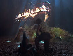 extant_HTLJ_3x12-Surprise_4191