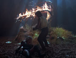 extant_HTLJ_3x12-Surprise_4192