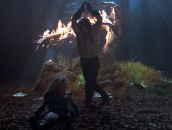 extant_HTLJ_3x12-Surprise_4193