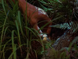 extant_HTLJ_3x12-Surprise_4201