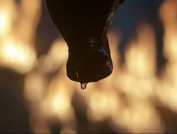 extant_HTLJ_3x12-Surprise_4243