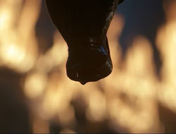 extant_HTLJ_3x12-Surprise_4245