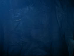 extant_HTLJ_3x12-Surprise_4262