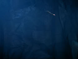 extant_HTLJ_3x12-Surprise_4264