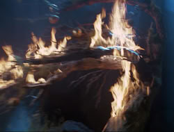 extant_HTLJ_3x12-Surprise_4293