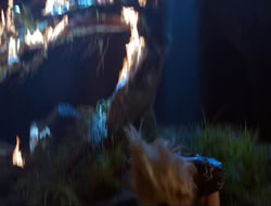 extant_HTLJ_3x12-Surprise_4297