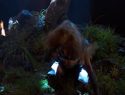 extant_HTLJ_3x12-Surprise_4301