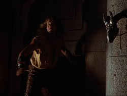extant_HTLJ_3x12-Surprise_4305