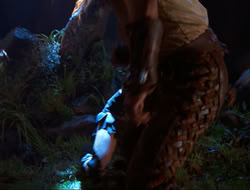 extant_HTLJ_3x12-Surprise_4322