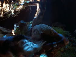 extant_HTLJ_3x12-Surprise_4333