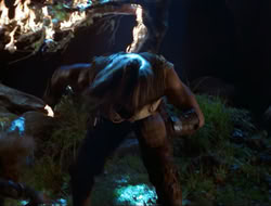 extant_HTLJ_3x12-Surprise_4334
