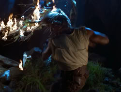 extant_HTLJ_3x12-Surprise_4335