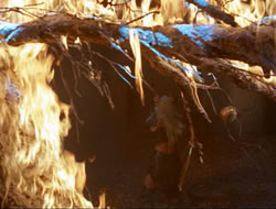 extant_HTLJ_3x12-Surprise_4349