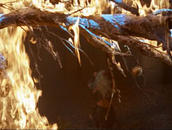 extant_HTLJ_3x12-Surprise_4350