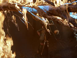 extant_HTLJ_3x12-Surprise_4352