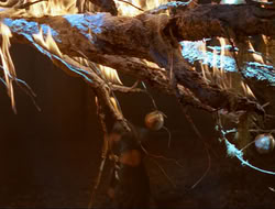 extant_HTLJ_3x12-Surprise_4356