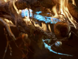 extant_HTLJ_3x12-Surprise_4361